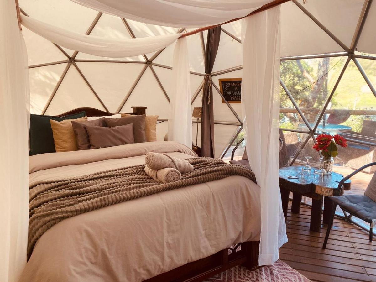Celeste Glamping Guatape Hotel Luaran gambar